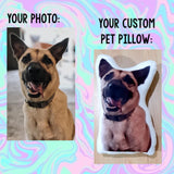 Pet Photo Pillows