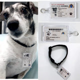 Pet Singapore IC Tag